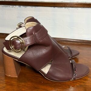 City Chic Buckle Leona Shootie Brown Tan Wide Fit Size 43 / US 11-12